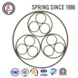 Stainless Steel Oil Seal Springs for Seals of Rubber