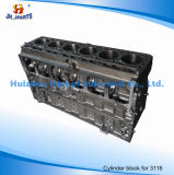 Engine Cylinder Block for Caterpillar 3116 Cummins/Perkins/Hino/FIAT/Chrysler/Mitsubishi/Isuzu/Toyota