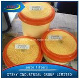 Xtsky Auto Part High Quality Auto Air Filter (OEM: 6.4212.0)