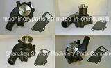 Isuzu Water Pump 5-13610-171-1 for 4bg1 Diesel Engine