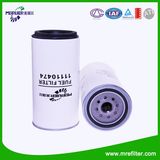 Filter Manufacturer Fuel Filter 11110474 in Volvo Truck Engine