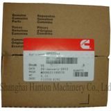 Cummins 6CT Diesel Engine Part 3802040 Piston Ring