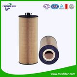Eco-Friendly Fuel Filter Element E161h01d28 for Car Engine