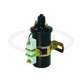 Ignition Coil Dq143 491 4y Mini Car, Ignition Coil with Module, Ignitin Coil, Auto Ignition Coil