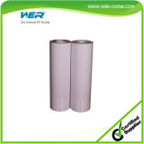 Best Selling Eco Solvent PP Sticker for Advertising Board