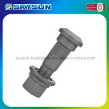 Auto/Truck Spare Parts Grade 10.9 Stud Bolt for Renault (221.595.5)