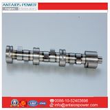 Deutz Camshaft for Diesel Engine