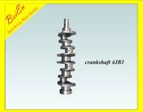 Crankshaft for Isuzuexcavator Engine (4JB1)