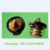 Chinese Chana Bus Thermostat Assy