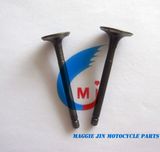 Motorcycle Parts Motorcycle Valve for Bajaj 100