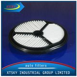 Xtsky Auto Part High Quality Auto Air Filter 13780-78b00