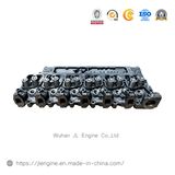 6b 5.9 Diesel Engine Spare Parts Cylinder Head Ass'y