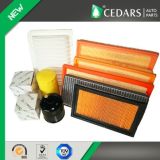 OE Quality Auto Air Filter with ISO/Ts16949 Certified