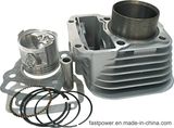 Motorcycle Engine Part, Cylinder Set