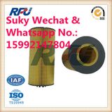 Hengst Oil Filter Auto Parts for Truck Used in Benz (E175H D129)