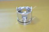 JAC Cargo Truck Chaoyang Diesel Engine Cy4102bzq Piston 4102bzl0430 Hot Sell