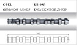 Auto Camshaft for Opel (9120519, 636025)