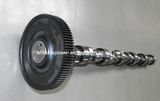 Deutz Engine Spare Parts--Cam Shaft