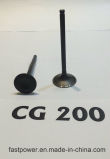 Motorcycle Parts Intake & Exhaust Valve for Cg200