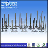 All Models of GM Engine Valve (Intake & Exhaust)