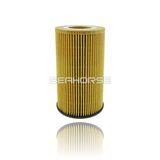 Professional Autoparts Supplier of Oil Filter for Vario Car 04252239