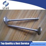 Genuine Cummins Isle Diesel Engine 6CT8.3 Exhaust Valve Intake Valve