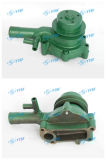 Water Pump/Foton Pump/Auto Parts