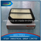 China Good Quality Auto Air Filter (13780-65j00)