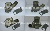 Isuzu Water Pump 1-13610-877-0 1-13610-016-0 02/800990 5-13610-099-0 1-13610-145-2 for 6bd1 Ex200-2