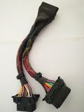 OBD 16p M to F*2 L: 300mm