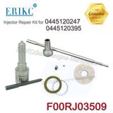 Erikc Diesel Injector Repair Kit F 00r J03 509 (F00RJ03509) Diesel Injektor Overhaul Kit F00r J03 509 for Injector 0 445 120 247