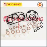 Diesel Repair Kits 14600-1120 for Ve Pump