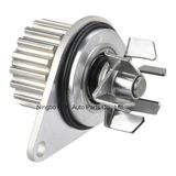 Auto Water Pump (OE: 120 1G0 for Peugeot, Citroen)