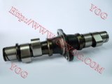 Motorcycle Parts Motorcycle Camshaft Moto Shaft Cam for Cm125