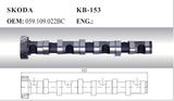 Aoto Camshaft for Skoda and VW (059.109.022bc)
