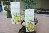 2015 Most Popular Items Vermiculite Bedroom Aroma Sachet Bag (JSD-H0011)