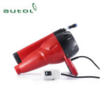 Multifunctional Mini Car Washer C300 High Pressure Portable Car Washer