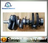 Engine Parts Crankshaft Tdv6 for Landrover Discovery