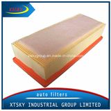 Xtsky Auto Part High Quality Auto Air Filter (OEM NO.: 8K0133843E)
