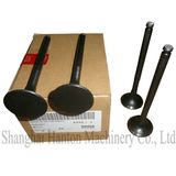 Yuejin Truck 1D07010032 Iveco Sofim 99432837 Exhaust Valve