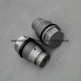 1110 010 017 Common Rail Bosch Limiting Pressure Valve for Diesel Injection System