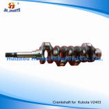 Engine Parts Crankshaft for Kubota V2403 1A051-23012