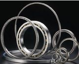 Thin Wall Deep Groove Ball Bearing with Super Quality Cost Effective Price