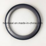 Rubber Iron Tb Htb Oil Seal for Auto Truck