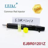 Erikc Fuel Injector Ejbr0 1201z Common Rail Delphi Injector for Nissan Micra Ejbr01201z OEM Ejb R01201z Diesel Intection