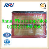 Air Filter C30125-1 for Man