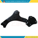6g9n3a053/6g9n3a052 Dg Front Lower Control Arm for Ford