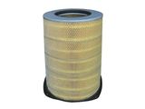 Auto Air Filter for Volvo 1665898