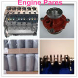 Auto Parts of Deutz 1013 Engine Parts Water Pump, Crankshaft etc