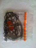 Auto Engine Repair Kits
